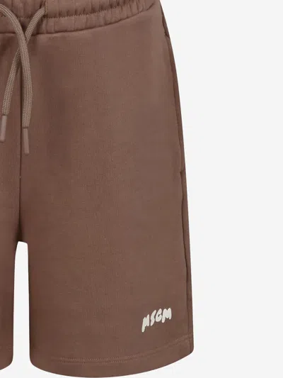Msgm Logo-print Track Shorts In Brown