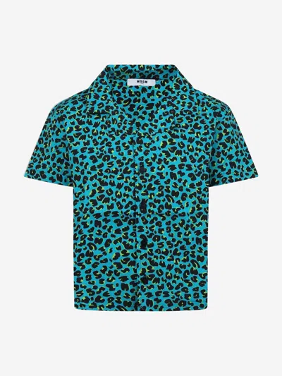 Msgm Boys Animal Print Shirt In Green