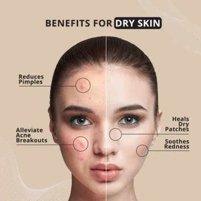 7e Wellness Myolift Renu Conductive Gel With Bio-active Complex