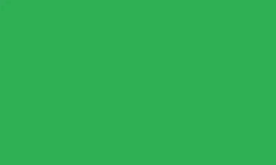 Portolano Cashmere Pashmina Wrap With Fringes In Green