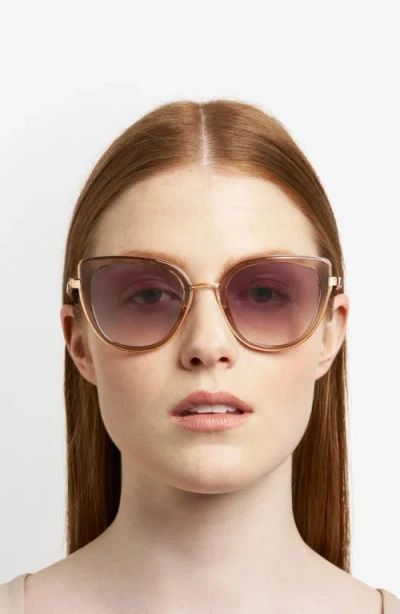 Fossil 52mm Cat Eye Sunglasses