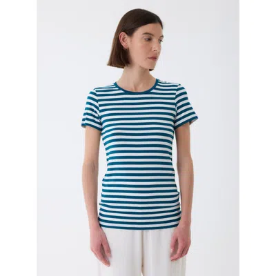 Majestic Filatures Soft Touch Striped Short Sleeve T-shirt In Blue
