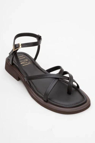 Forever & Always Shoes Antas Strappy Leather Flat Sandals In Brown