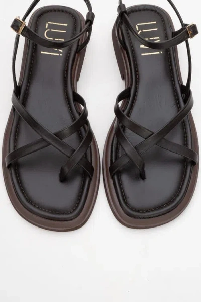Forever & Always Shoes Antas Strappy Leather Flat Sandals In Brown