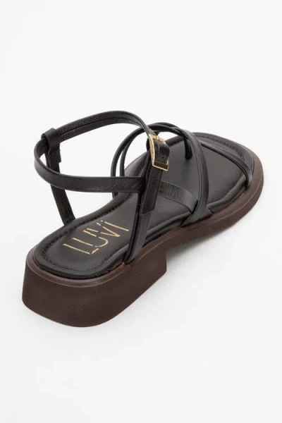 Forever & Always Shoes Antas Strappy Leather Flat Sandals In Brown