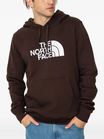 The North Face Drew Peak Logo-print Hoodie In Brown