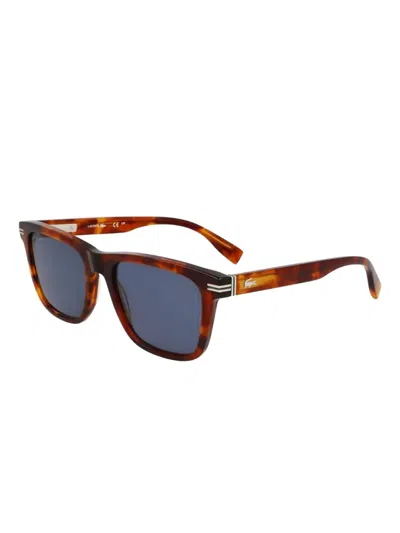 Lacoste Square-frame Sunglasses In Brown