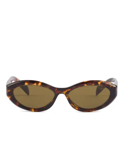 Prada Catwalk Cat-eye Acetate Sunglasses In Havana,green