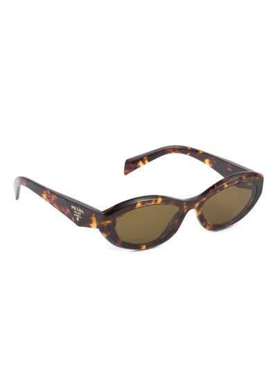 Prada Catwalk Cat-eye Acetate Sunglasses In Havana,green