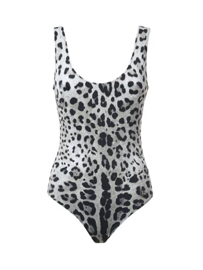 Dolce & Gabbana Sea In Animal Print