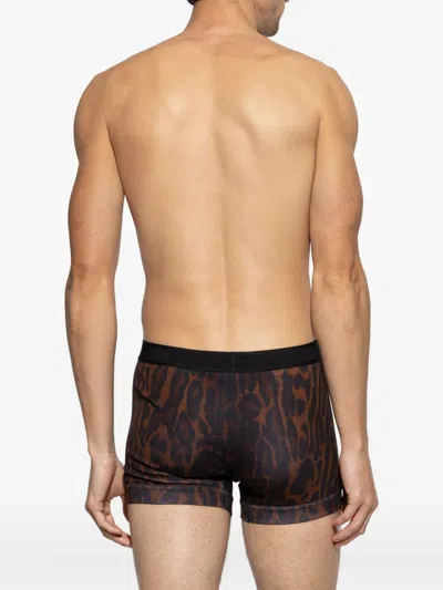 Tom Ford Leopard-print Boxers In Animal Print
