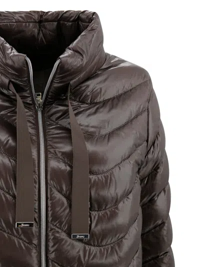Herno Short Jacket