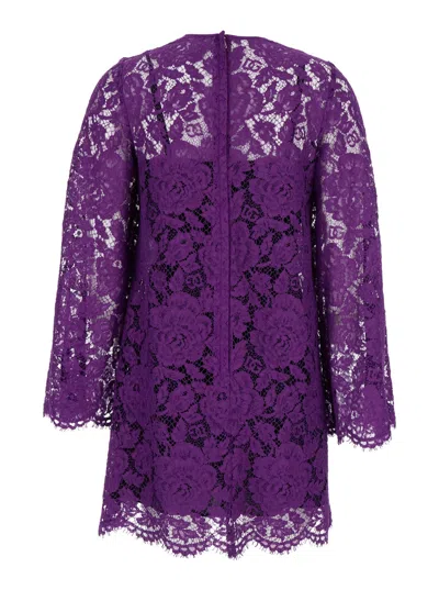 Dolce & Gabbana Cordonetto Lace Short Dress In Purple