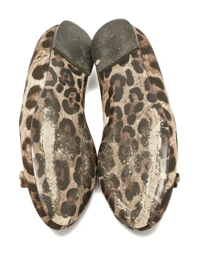 Pre-owned Dolce & Gabbana Leopard-print Ballet Flats