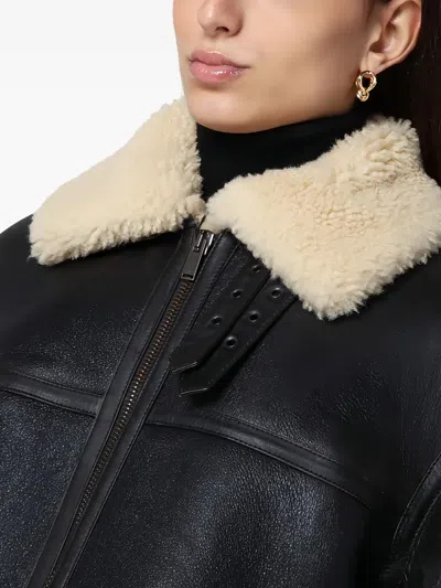 Saint Laurent Leather Jacket With Shearling Collar In Brown