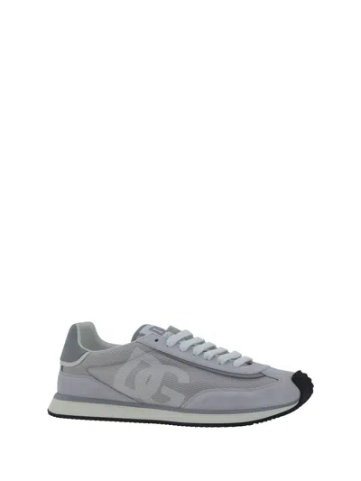 Dolce & Gabbana Low Sneaker In Gray