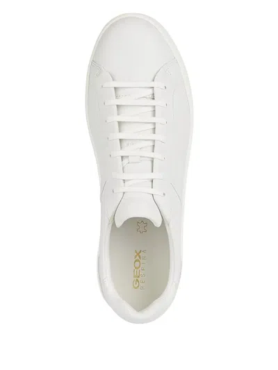 Geox Regio Lace-up Sneakers In White