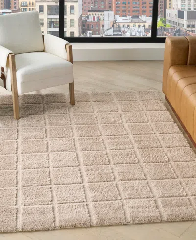 Dkny West End Ave Wte01 3'9"x5'9" Area Rug In Neutral
