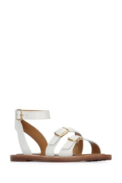 Celine Open Toe Flat Sandals