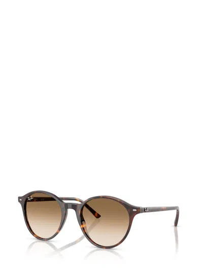 Ray Ban Tortoiseshell Sunglasses