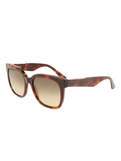 Lacoste Crocodile-effect Square-frame Sunglasses In Brown