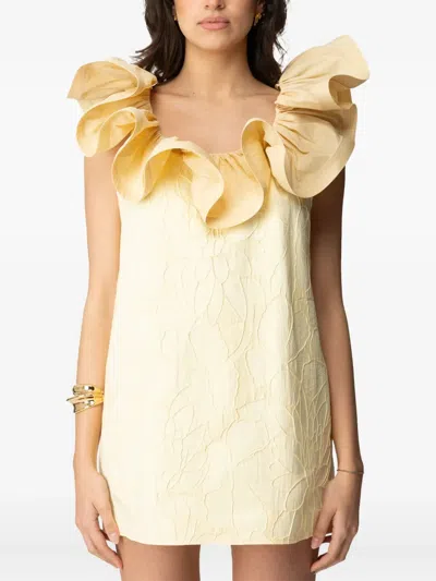 Elisabetta Franchi Ruffled Floral-pattern Dress In Neutral