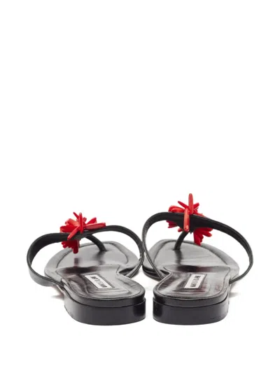Pre-owned Manolo Blahnik Leather Thong Flats