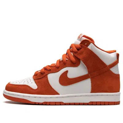 Nike Syracuse Dunk High Pro In White