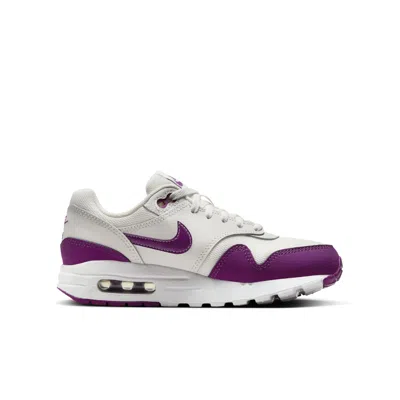 Nike (gs)  Air Max 1 'summit White Viotech'