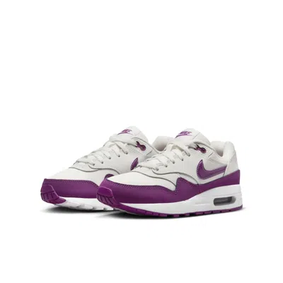 Nike (gs)  Air Max 1 'summit White Viotech'