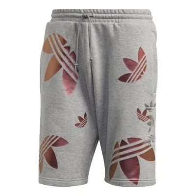 Adidas Originals Zeno Big Trefoil Logo Lacing Sports Shorts Gray In ...
