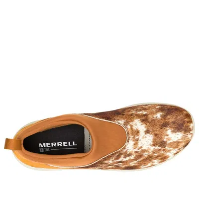 Merrell Winter Moc 3 Ch Se 'spice' In Brown