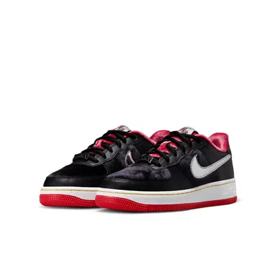 Nike (gs)  Air Force 1 Low Premium 'htown'