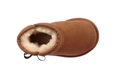 Ugg (ps)  Idris Snow Boots Chestnut