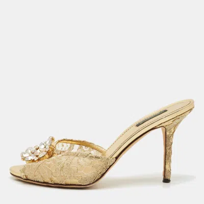 Pre-owned Dolce & Gabbana Gold Lace And Mesh Crystal Embellished Keira Sandals Size 41