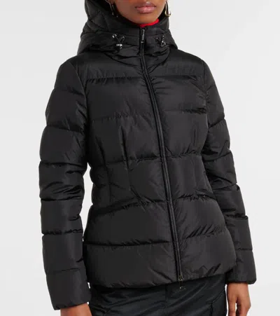 Moncler Avoce Down Jacket