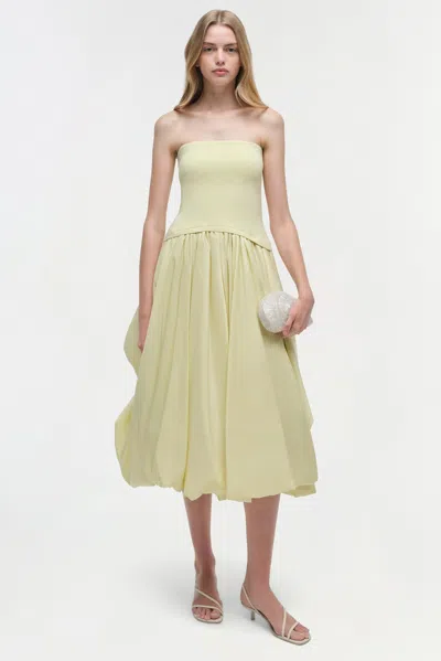 Simkhai Women's Knitted Izzy Strapless Taffeta Midi Dress In Sunglow