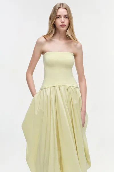 Simkhai Women's Knitted Izzy Strapless Taffeta Midi Dress In Sunglow