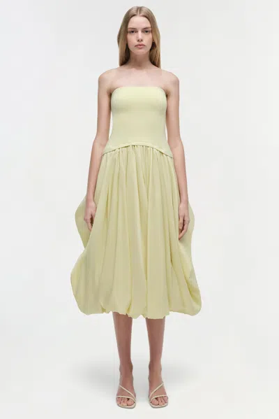 Simkhai Women's Knitted Izzy Strapless Taffeta Midi Dress In Sunglow