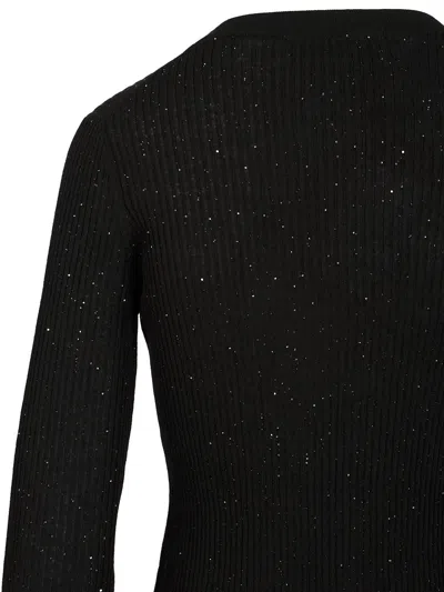 Max Mara Marabu Pailletes Ribbed Wool-silk Crewneck Knitwear Black In Black