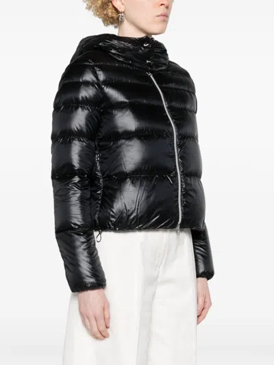 Herno Jacket With Zip And Hood In Black