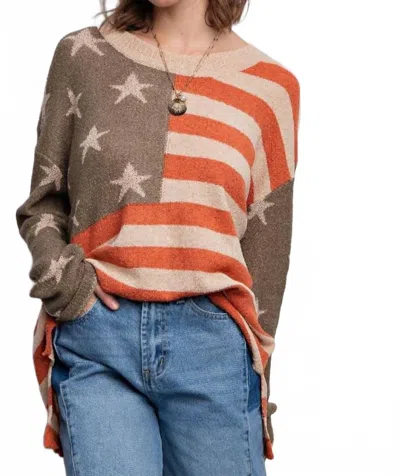 Easel American Flag Sweater In Mocha Star