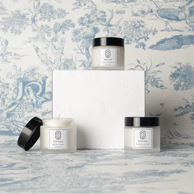 Sentier Fragrance Into The Woods