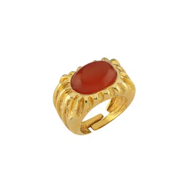 Linya Jewellery Women's Eos Brown Agate Stone Ring