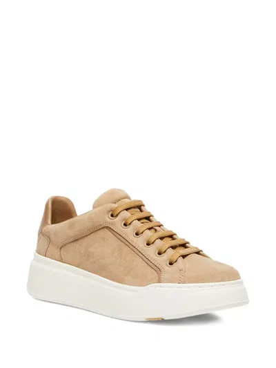 Max Mara Round Toe Lace-up Sneakers In Gold