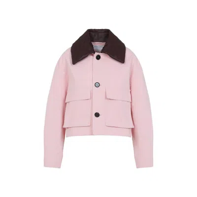 Bottega Veneta Cotton Twill Crop Jacket With Removable Intrecciato Leather Collar In Pink