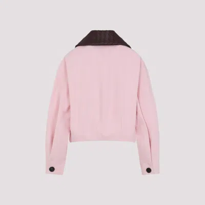Bottega Veneta Cotton Twill Crop Jacket With Removable Intrecciato Leather Collar In Pink