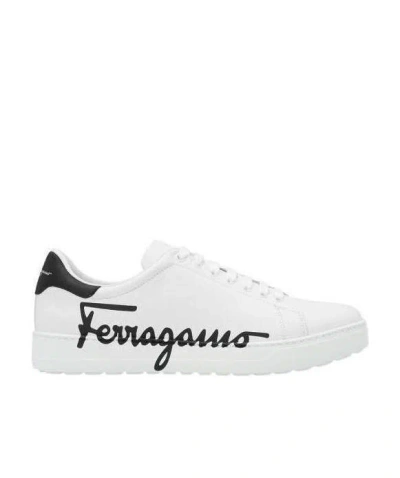 Ferragamo Man Sneakers White Size 8 Calfskin In White