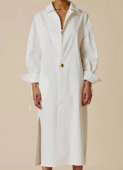 Darkpark Shirtwaist Dress In White