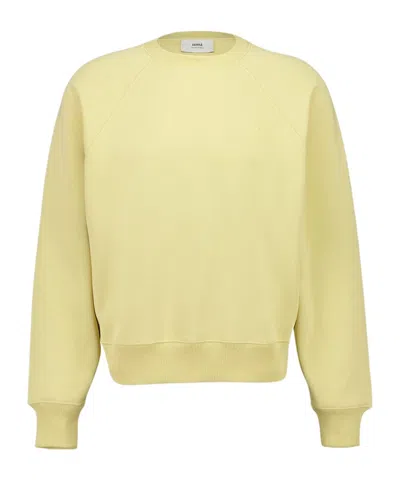 Ami Alexandre Mattiussi Long Sleeve Sweatshirt In Yellow